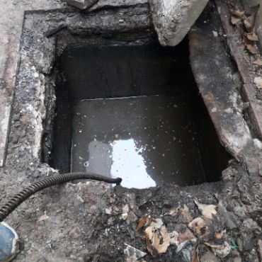 Destapacion de tapa cloacal